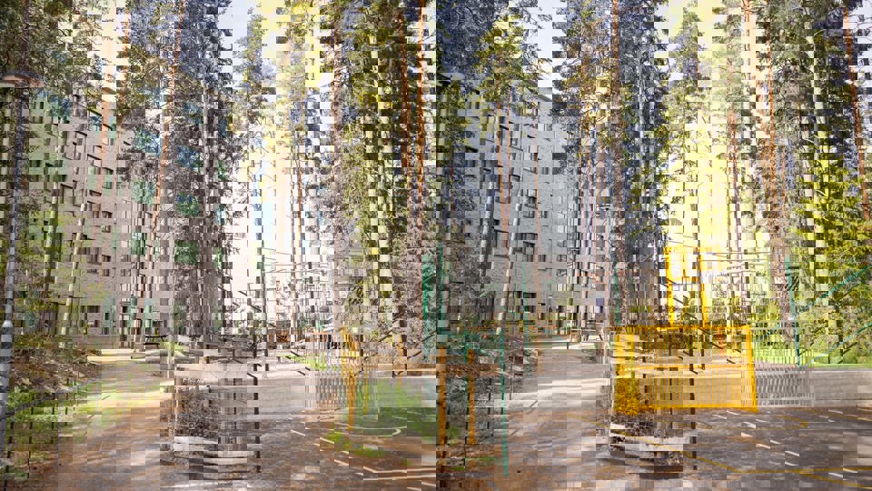 Skolgård med höga träd, basketkorg och klätterställningar.