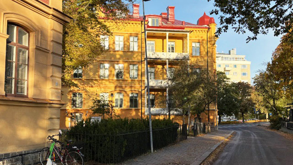 Nyrenoverad gul fasad på gammal skola med gata, träd och buskar i förgrunden.