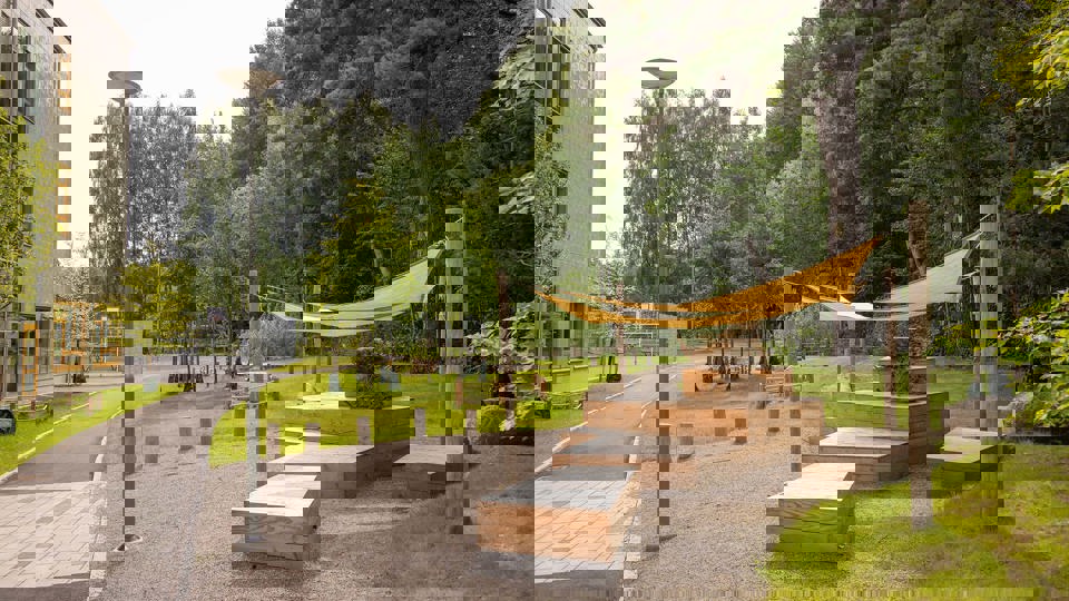 Grön skolgård med träd, buskar och bänkar i trä.
